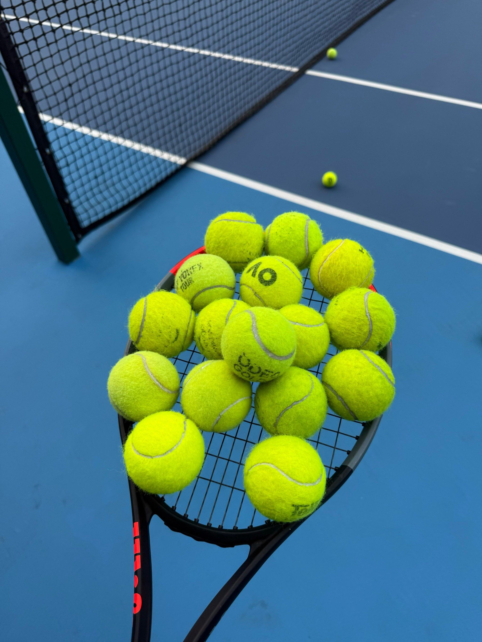 我们都期待 我们都期待