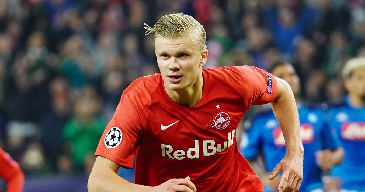 则更看重为 则更看重为